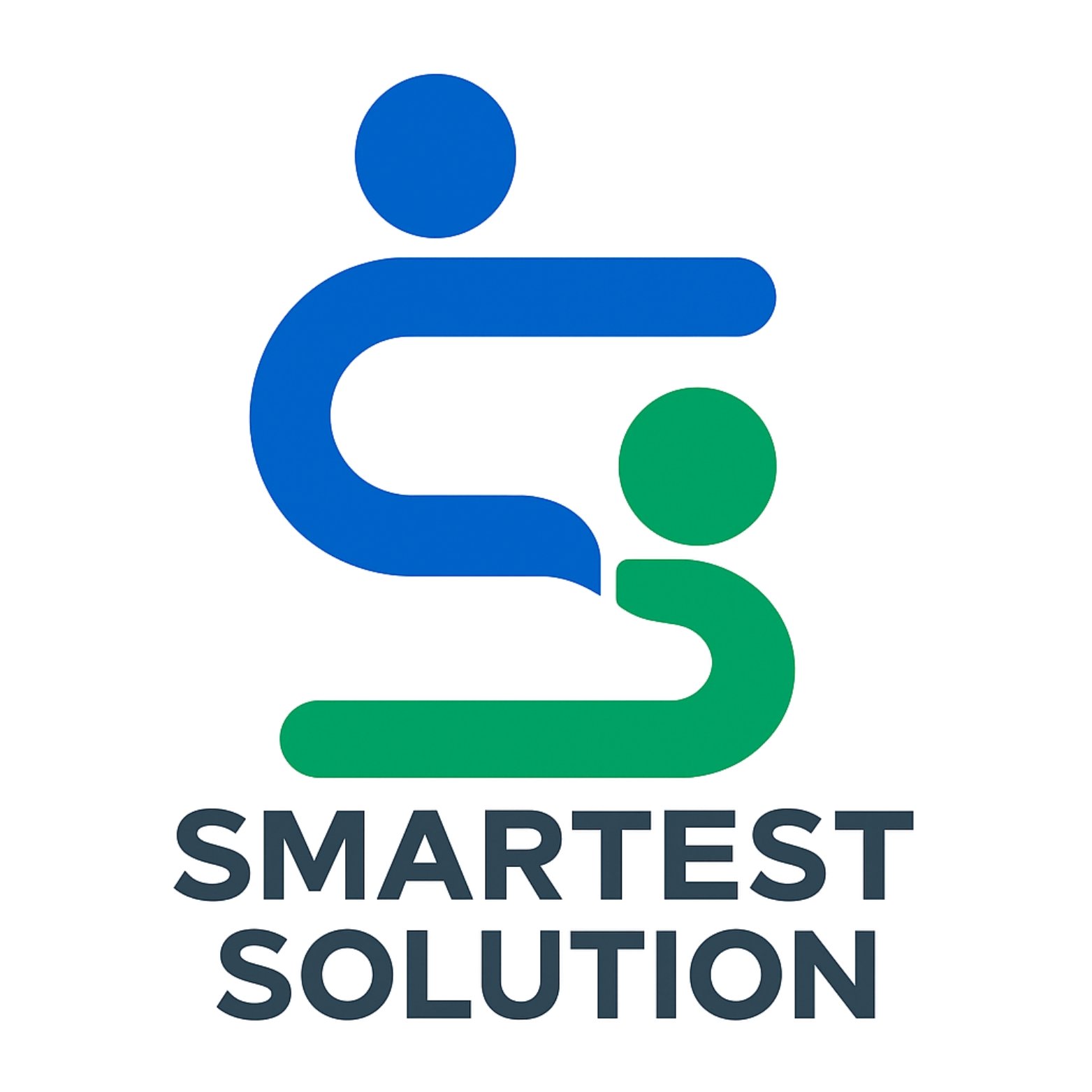 Smartest Solution Logo